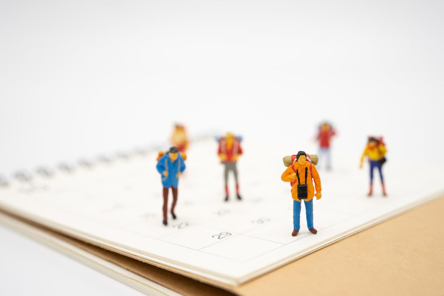 succession planning